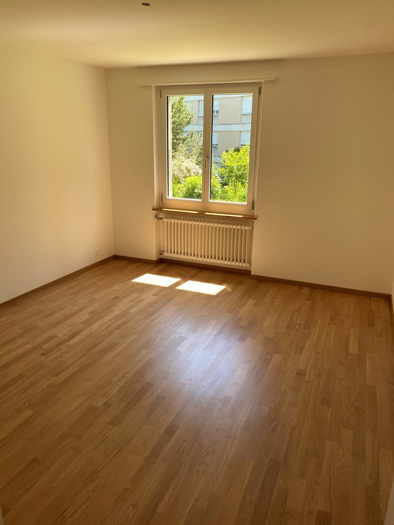 empty room, wooden floors, white walls, white radiator, window