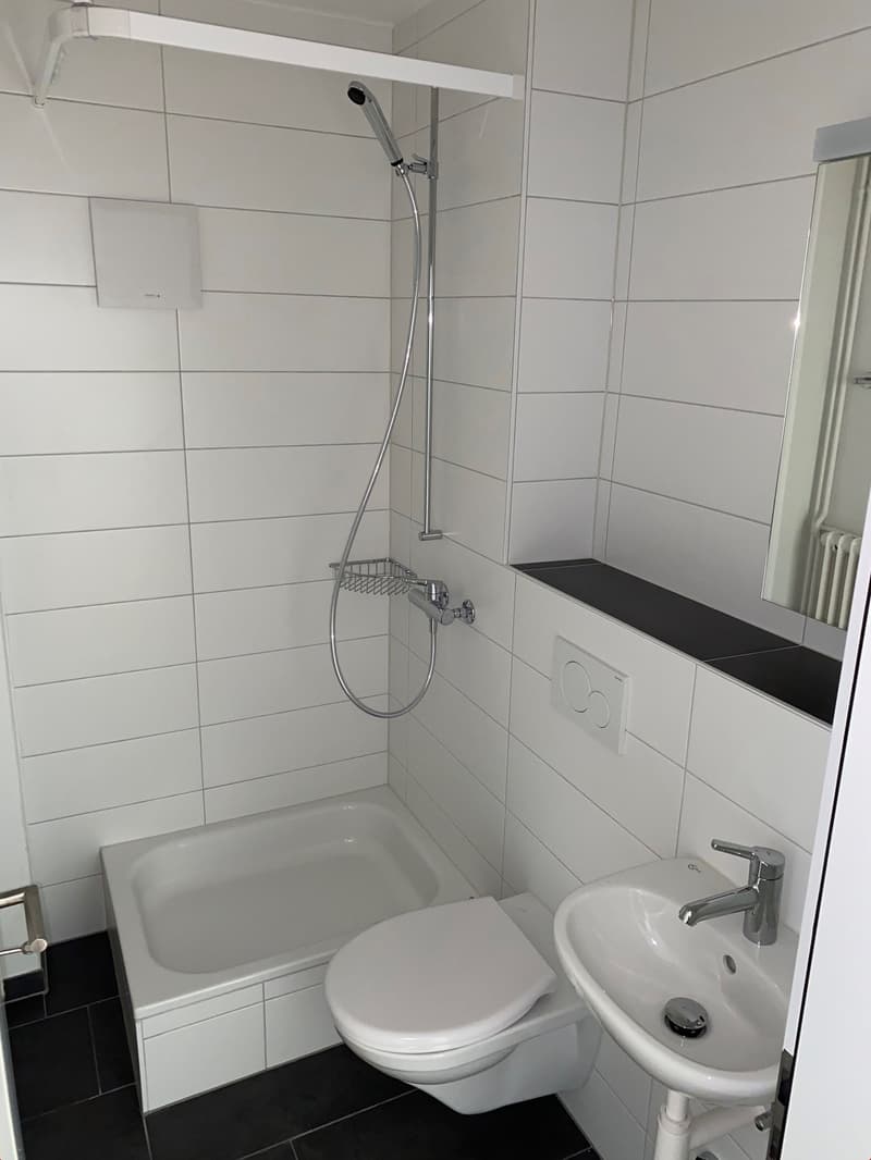 Bathroom with toilet, bathtub, shower, sink and mirror