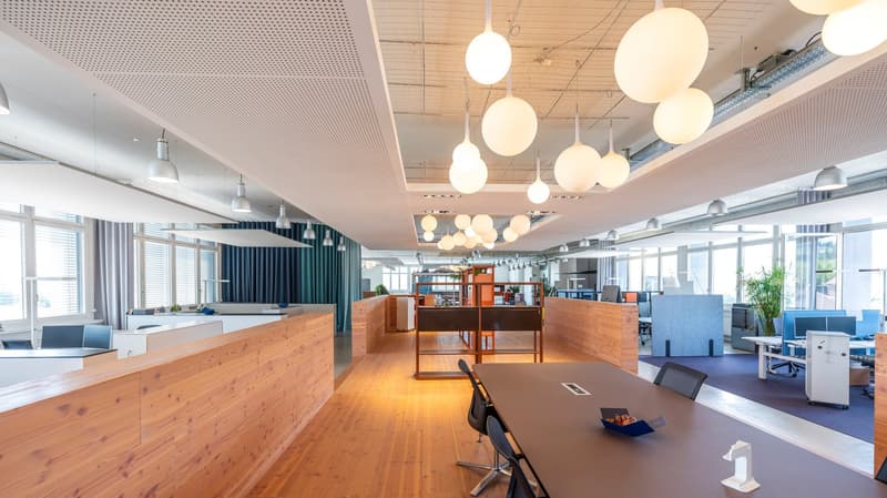 modern interior with wooden floors, wooden partitions, circular lamps, office desks, plants, large windows, office chairs