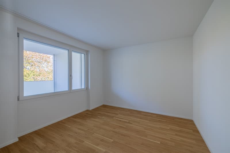 empty room, wooden floors, double glass window, power outlet