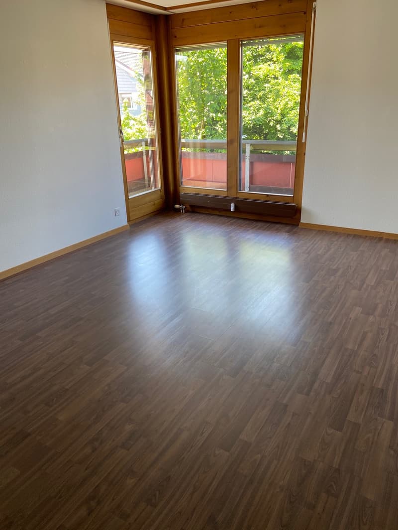 empty room, wooden floor, large windows, balcony