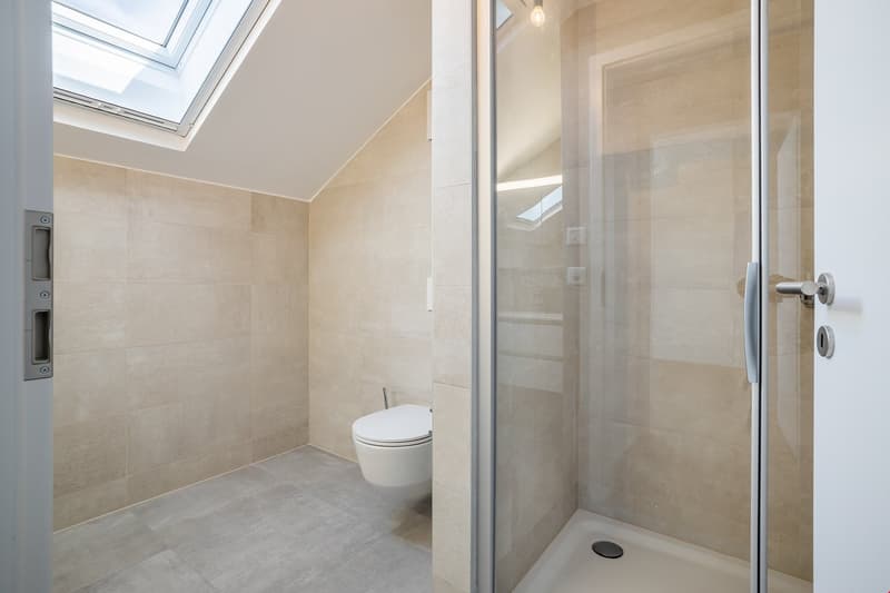 Bathroom with a toilet, shower, and skylight