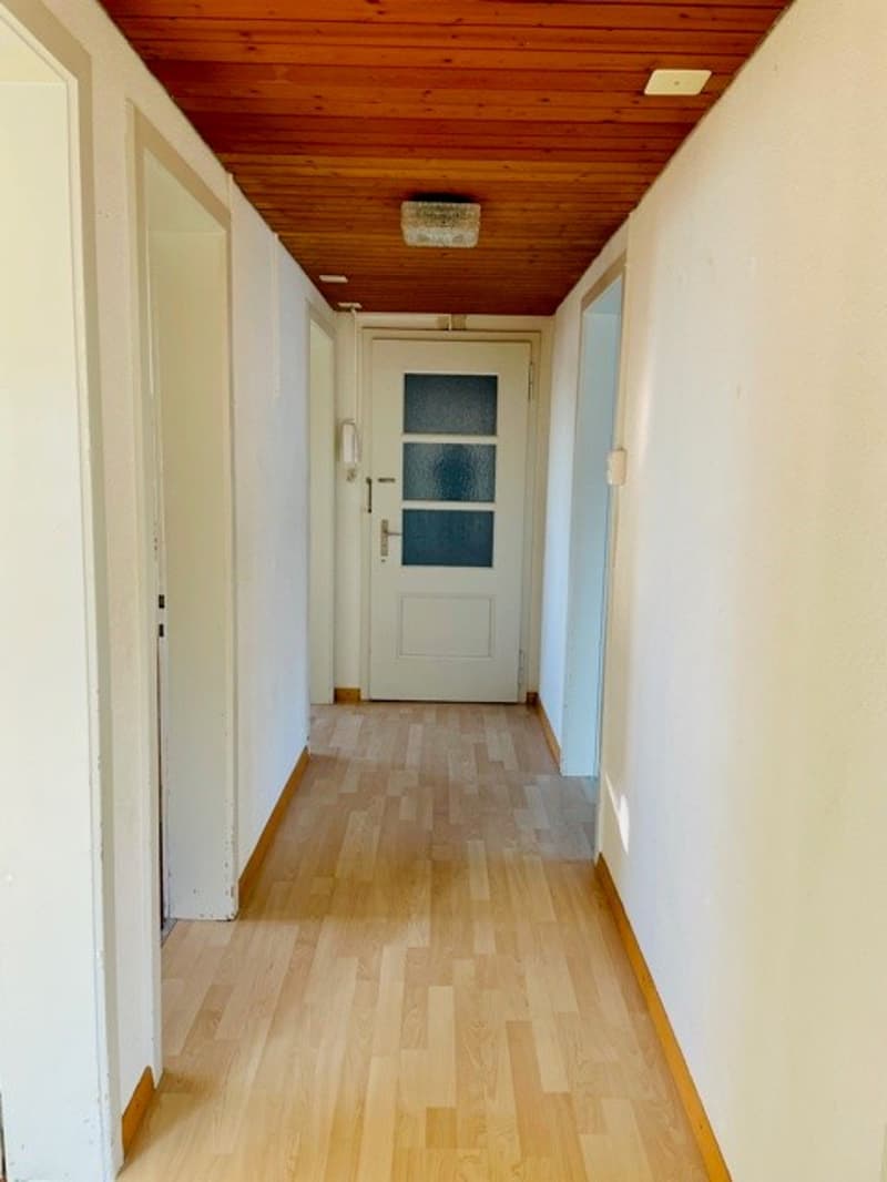 Empty hallway with wooden floor, white walls, wooden ceiling, white door, glass window