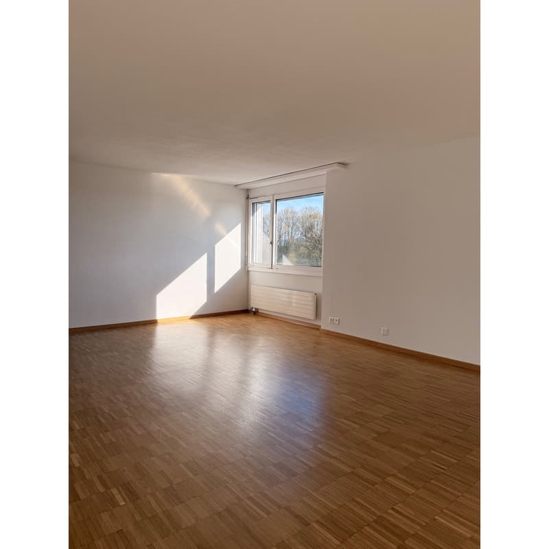 empty room, wooden floor, white walls, large window, radiator