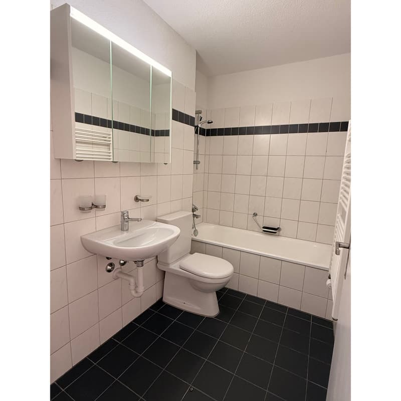 Bathroom with white tiles, black tiles on the floor, white sink, white toilet, white bathtub, mirror with light