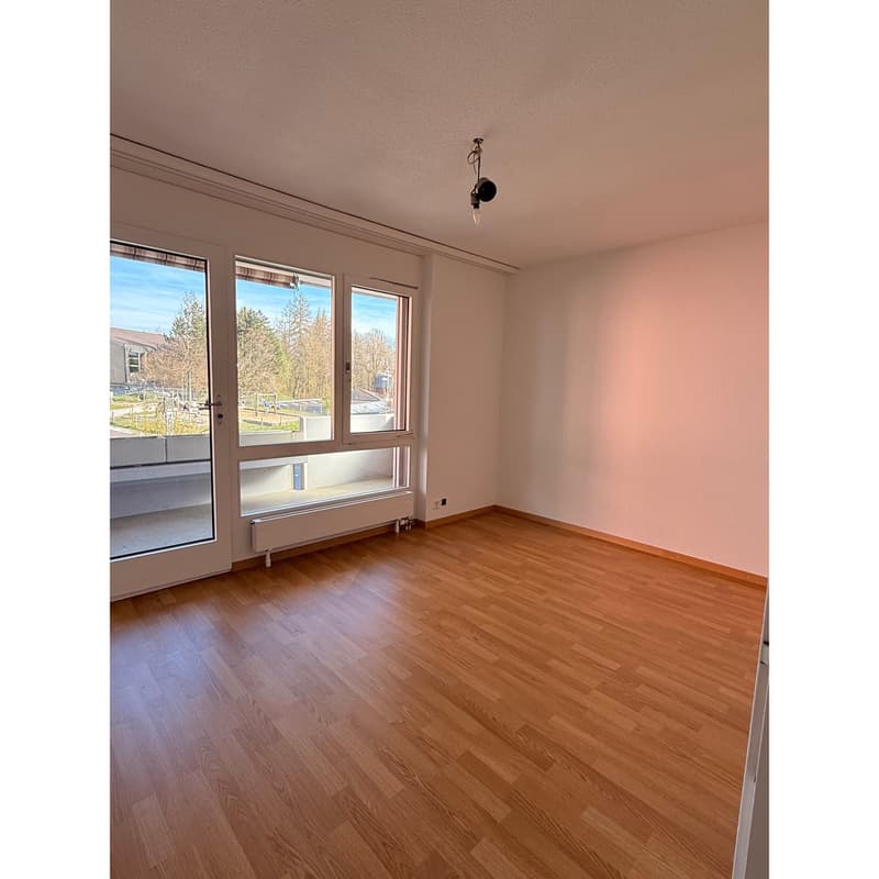 empty room, wooden floor, large windows, balcony, white walls