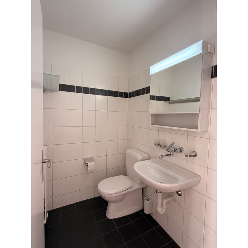 white tiles, black tiles, white toilet, white sink, mirror, toilet paper holder