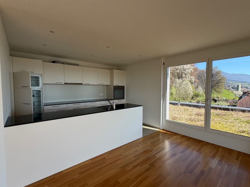 modern kitchen with white cabinets, black countertops, wooden floor, large windows with view of the outside