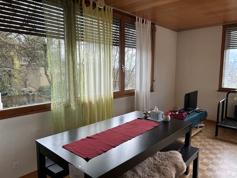 Dining room with a table, chairs, and a window with curtains. A TV is on a table in the corner.