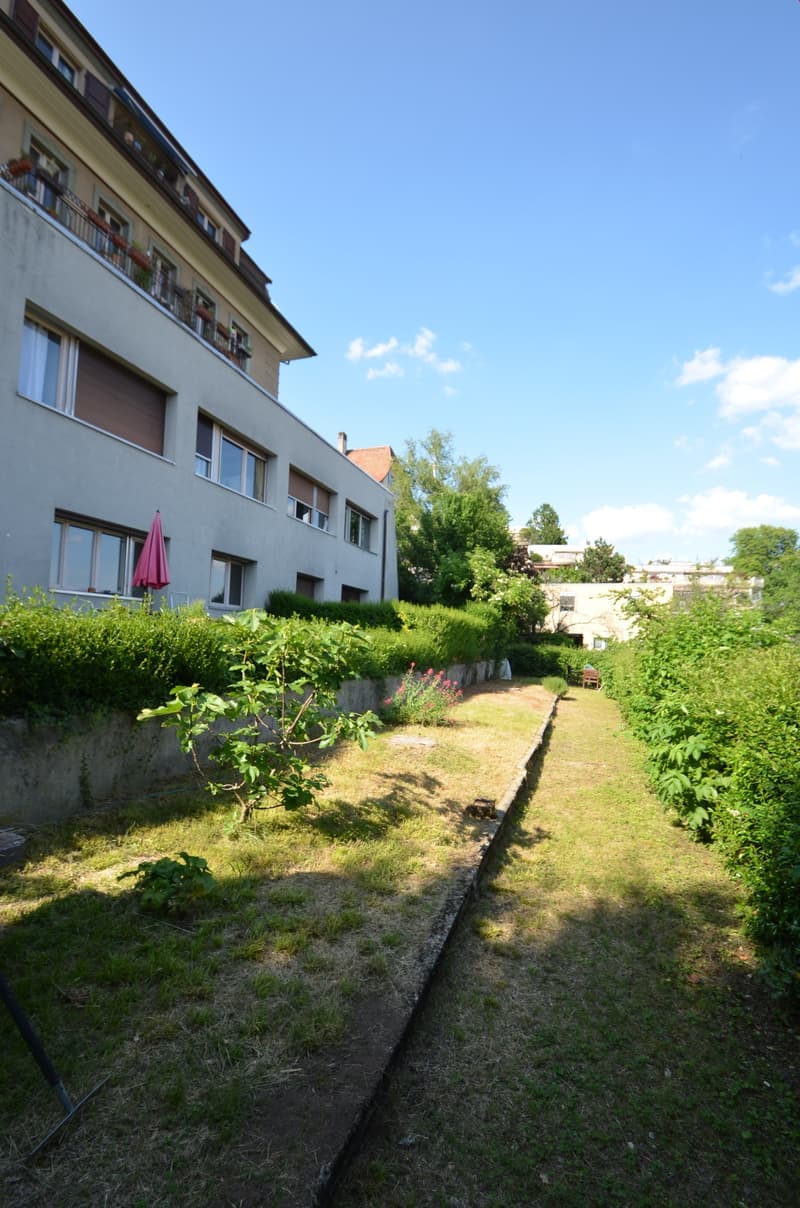 A garden with a grassy area, a concrete pathway, and a building in the background.