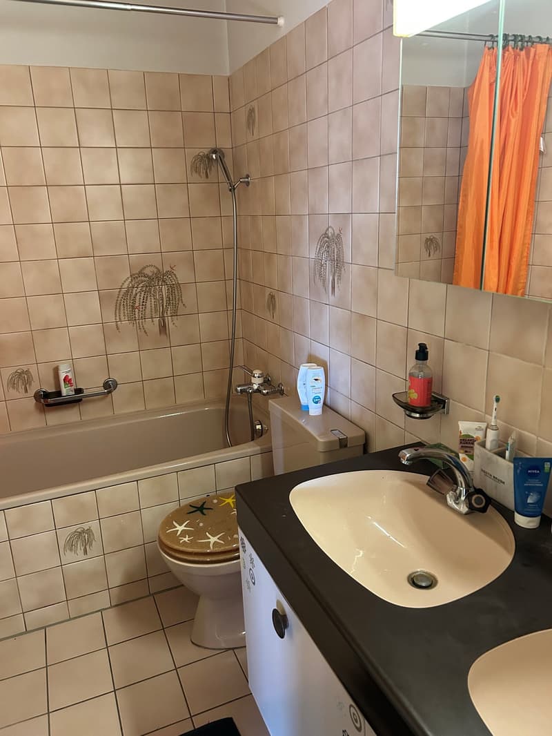 Bathroom with bathtub, toilet, sink, mirror, and shower head