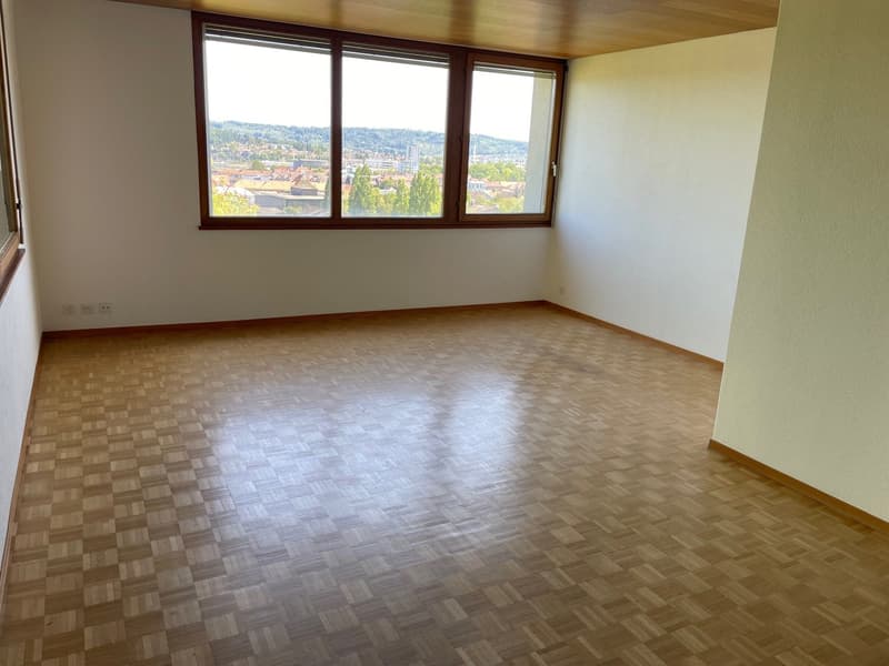 Charmante Wohnung mit eigenem Zugang in ruhigem Wohnquartier (8)