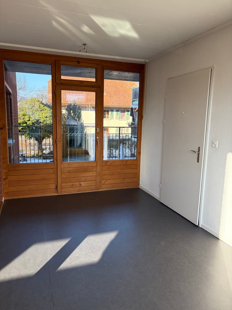 empty room, wooden doors, glass windows, balcony, black floor