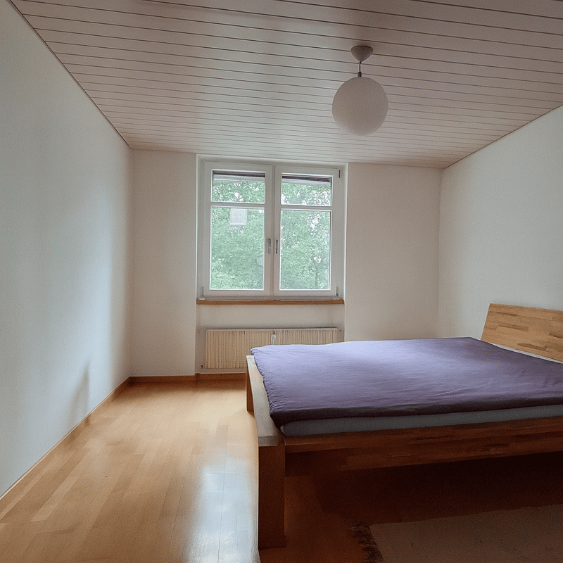Charmante 3-Zimmer-Wohnung am Murifeldweg (5)