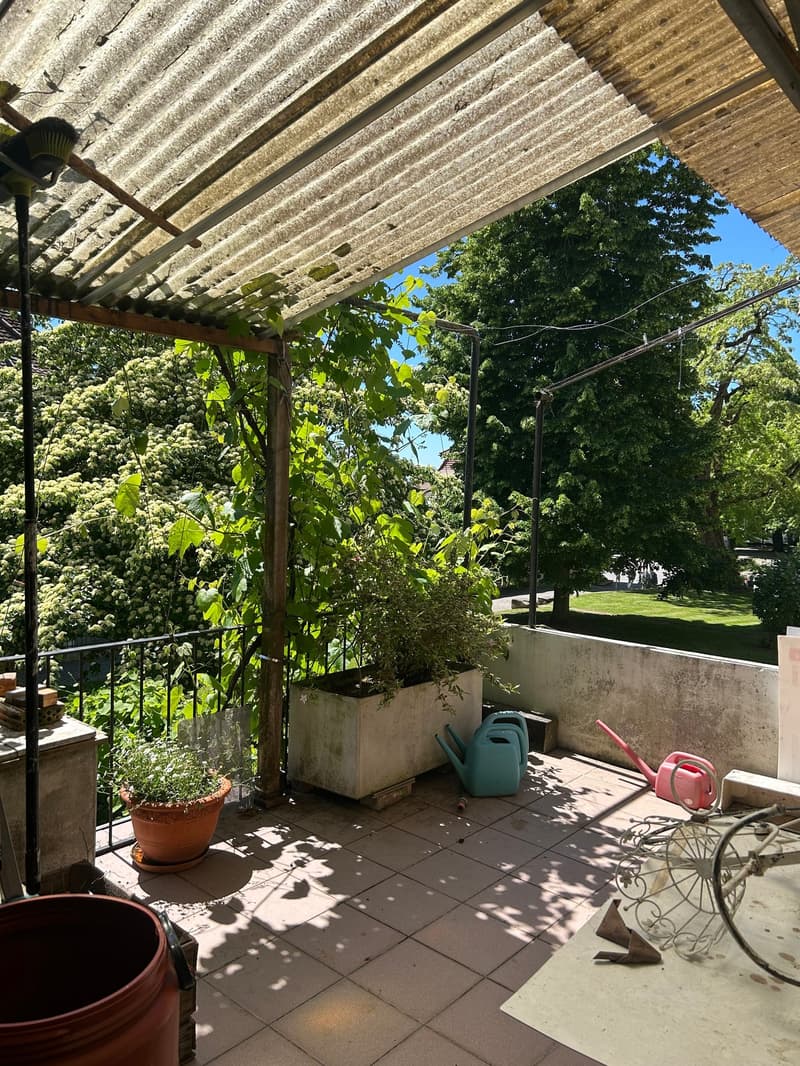 Espaces de bureau/pratique dans la vieille ville de Murten – idéal pour le co-travail, les pop-up ou l'utilisation temporaire (13)
