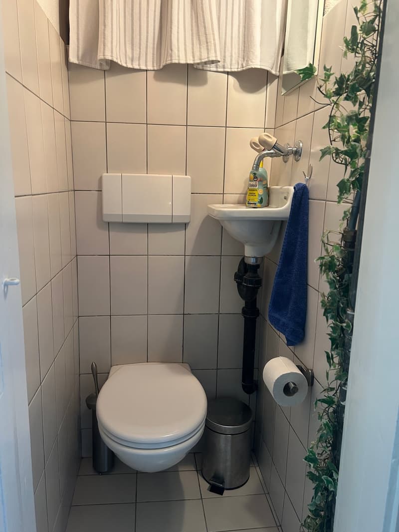 Espaces de bureau/pratique dans la vieille ville de Murten – idéal pour le co-travail, les pop-up ou l'utilisation temporaire (12)