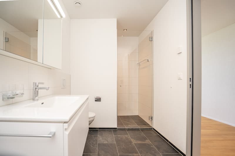 Wunderschöne und helle 3.5-Zimmer-Wohnung im Poly-Areal (6)