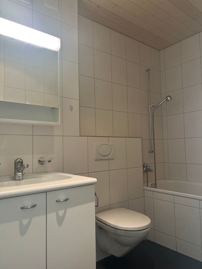 Helle Wohnung im Herzen von Bern-Bümpliz (6)