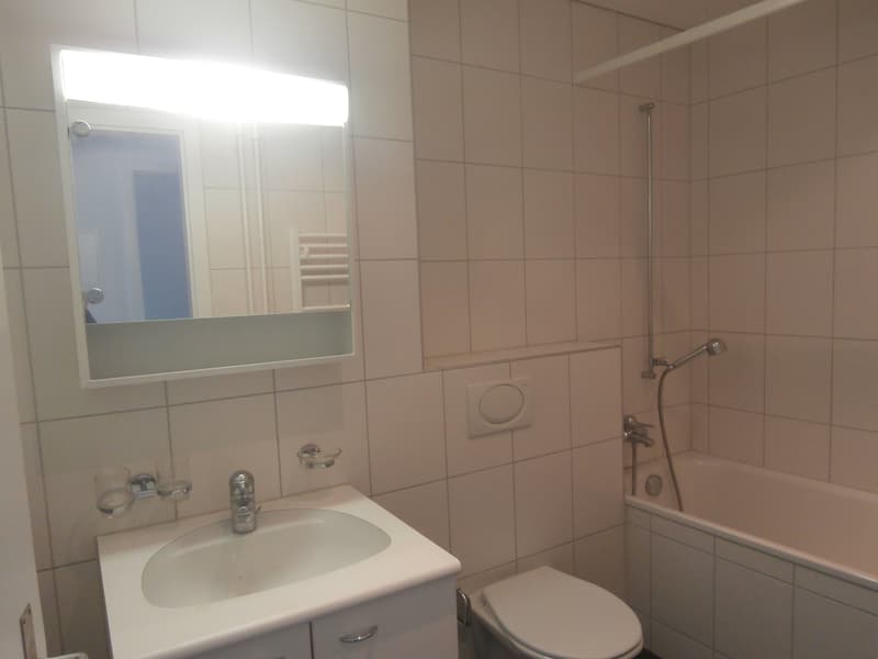 Moderne 3.5-Zimmer-Wohnung an zentraler Lage (6)