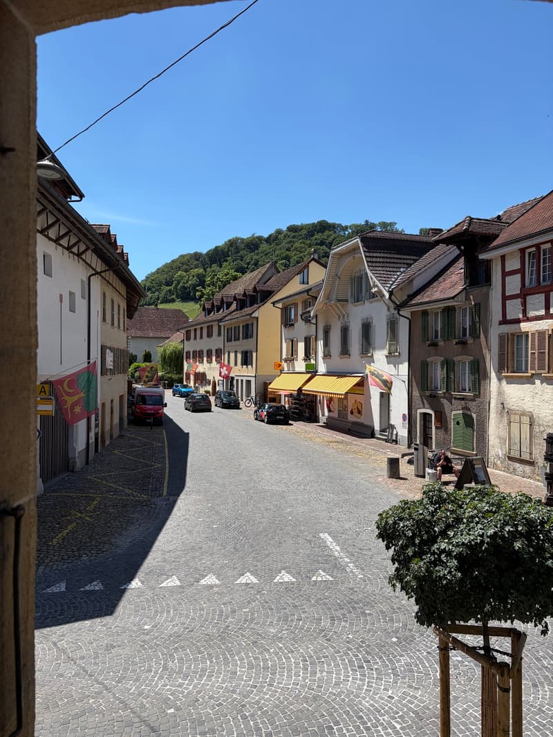 Grosszügige 3½ -Zimmer-Wohnung im Herzen von Erlach (10)