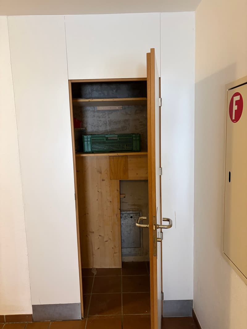 Grosszügige 3½ -Zimmer-Wohnung im Herzen von Erlach (7)