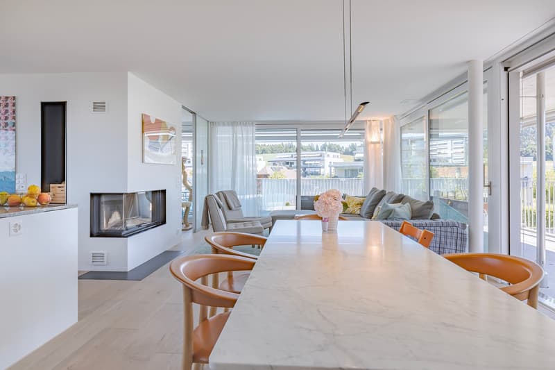 Grosszügige Attika-Oase mit 117 m² Terrasse und Cheminée (6)