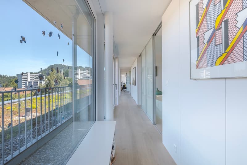 Grosszügige Attika-Oase mit 117 m² Terrasse und Cheminée (3)