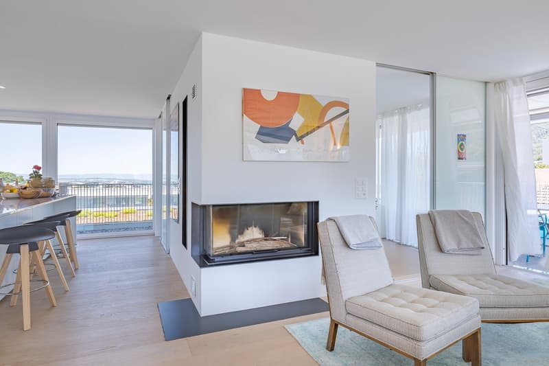 Grosszügige Attika-Oase mit 117 m² Terrasse und Cheminée (5)