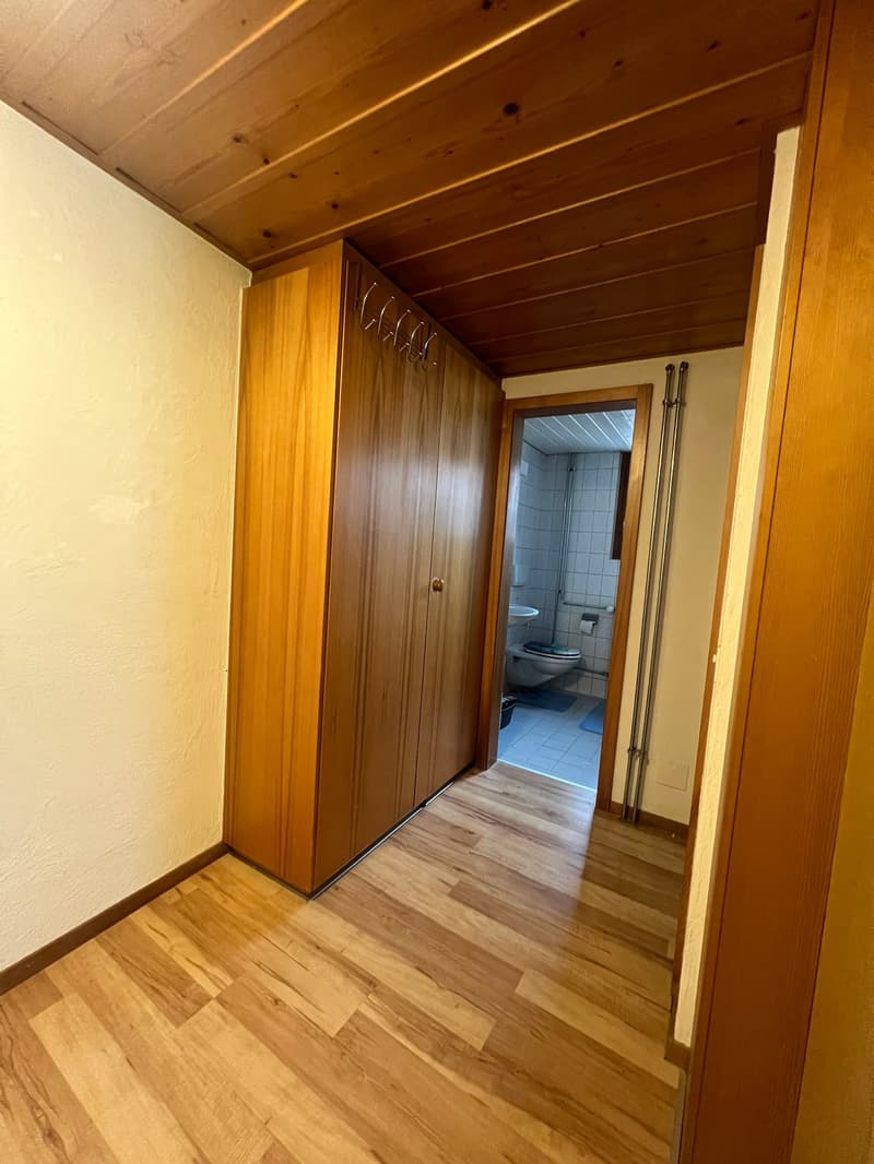 Charmante Wohnung mit Cheminée im Herzen von Murten (6)