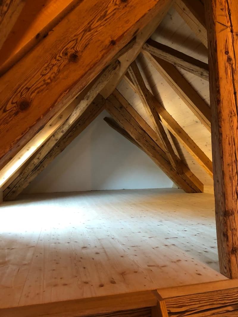 Wohnen in wunderschöner geschichtsträchtiger Galeriewohnung (8)