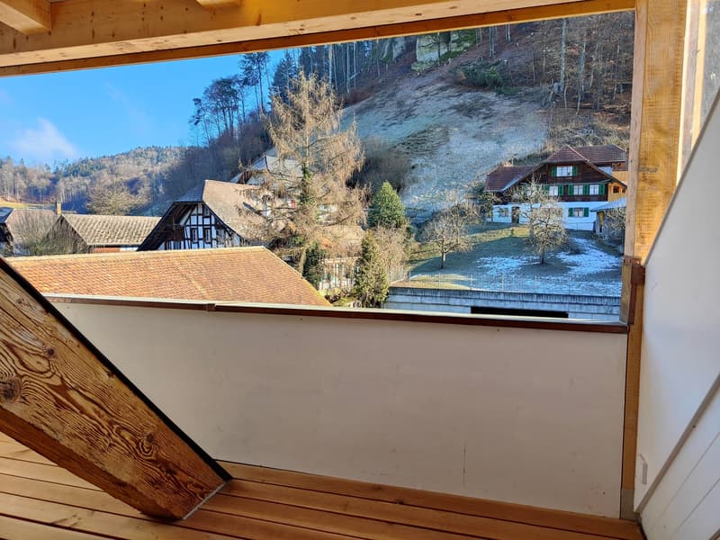 Wohnen in wunderschöner geschichtsträchtiger Galeriewohnung (5)