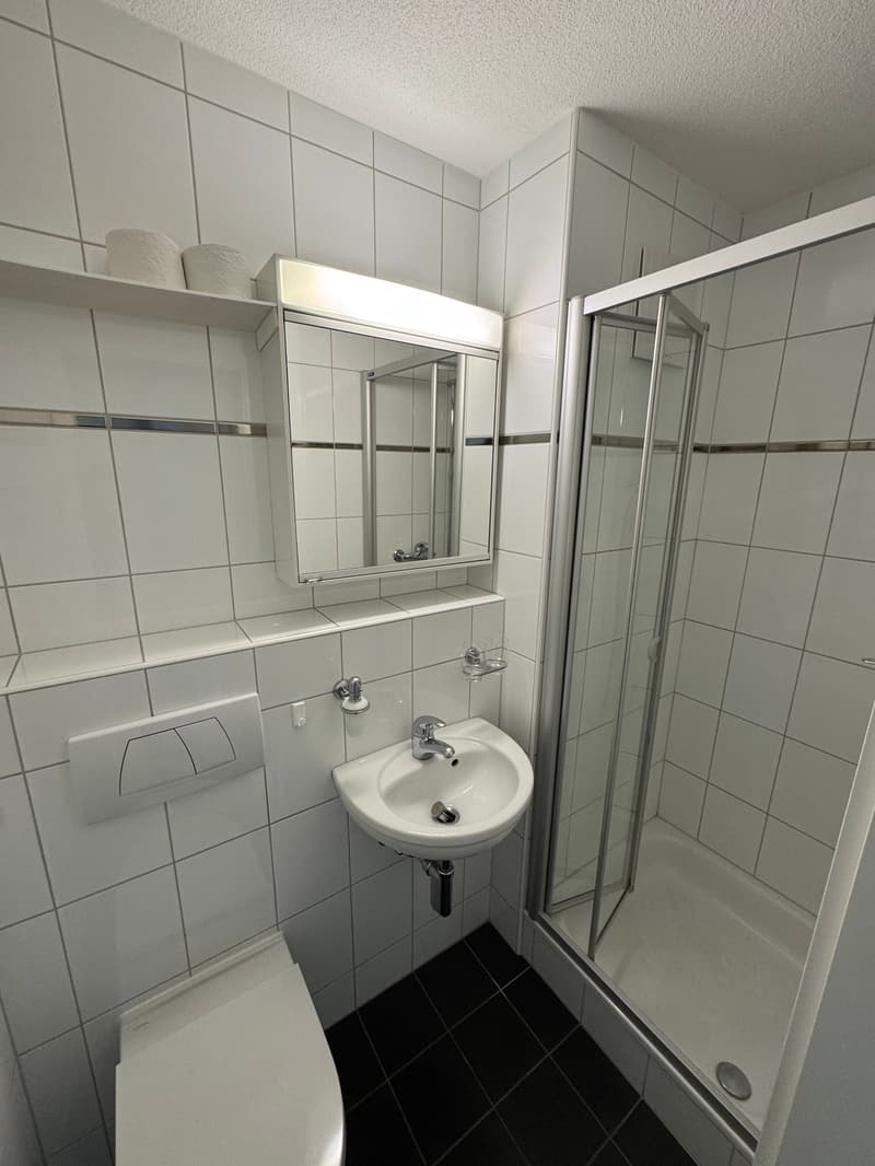 Helle 3.5-Zimmer-Wohnung mit Balkon und schöner Aussicht in Belp (4)