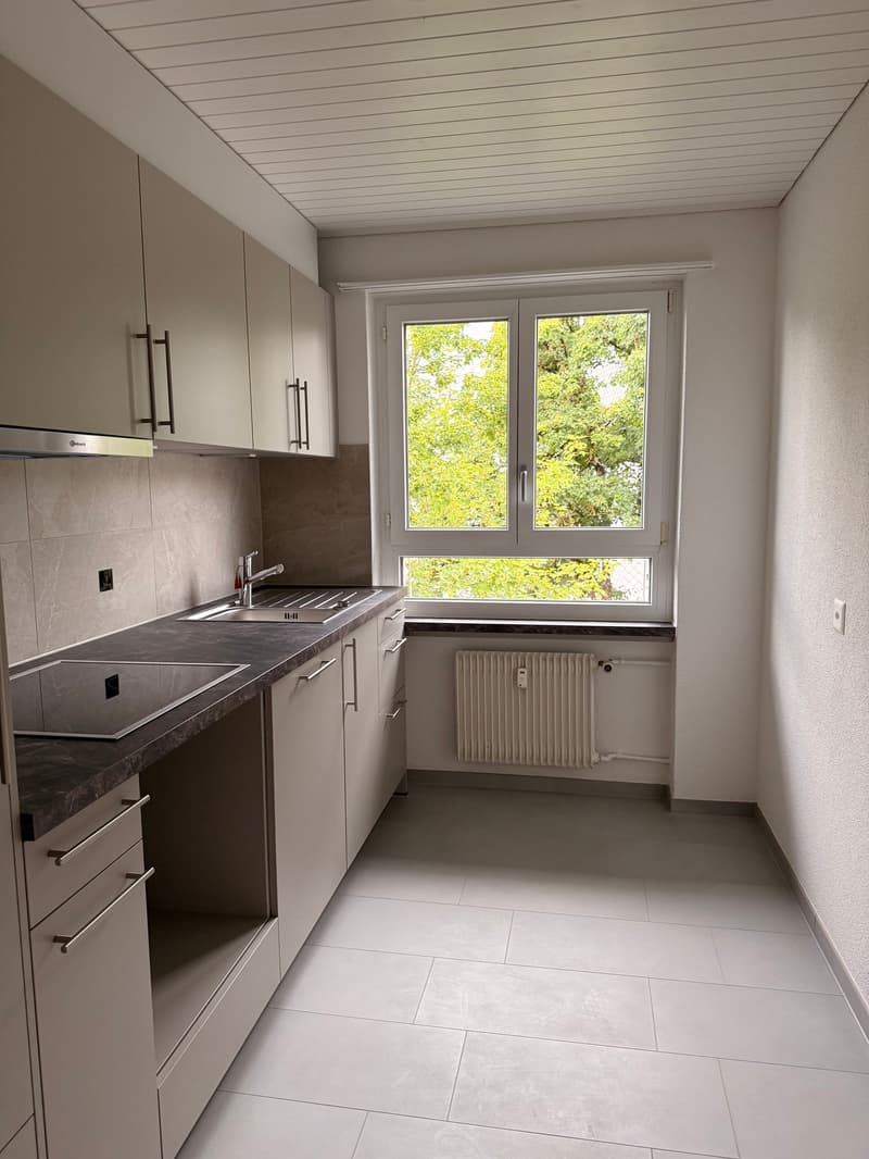 Frisch renoviert & optimal gelegen - Ihr neues Zuhause in Zollikofen (1)