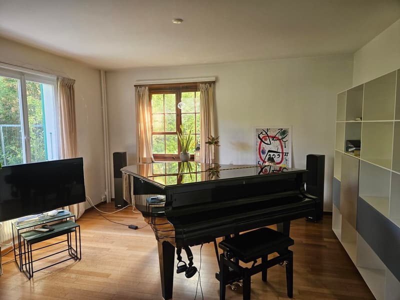 Charmantes 4-Zimmer-Doppeleinfamilienhaus mit sonnigem Garten in ruhigem Wohnquartier (2)