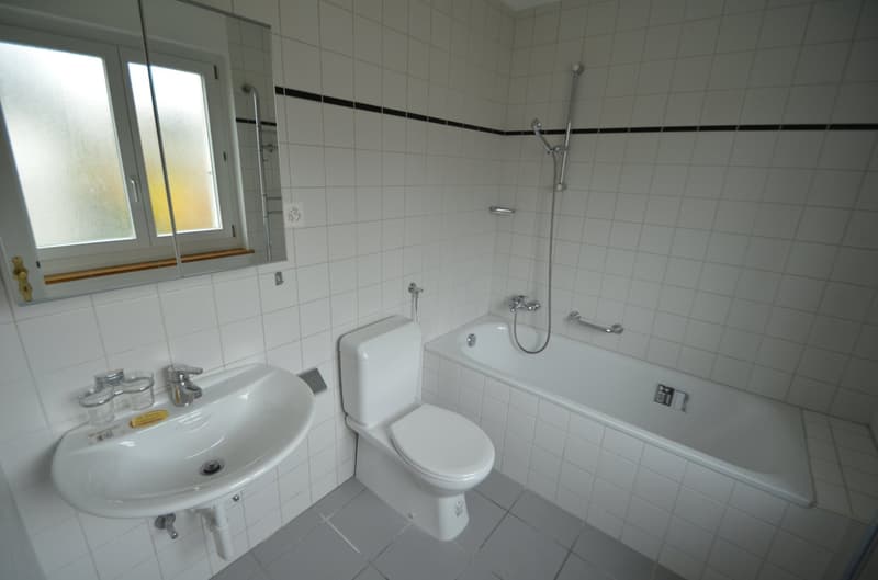 Charmantes 4-Zimmer-Doppeleinfamilienhaus mit sonnigem Garten in ruhigem Wohnquartier (7)