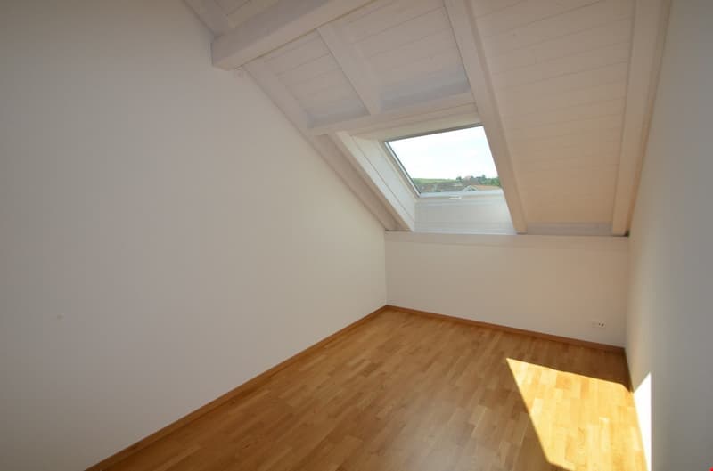 Moderne Maisonette-Wohnungen an ruhiger Lage (7)