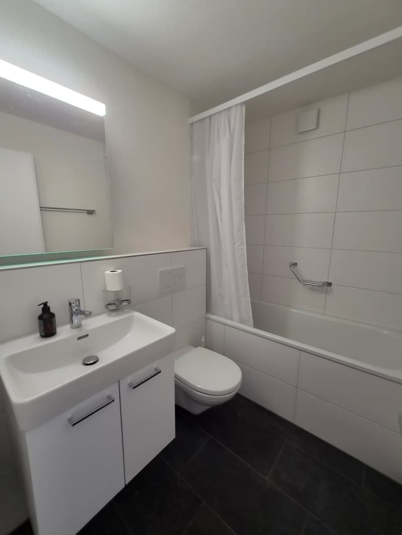 Frisch sanierte 1.5-Zimmer-Wohnung an zentraler Lage in Schönbühl (4)