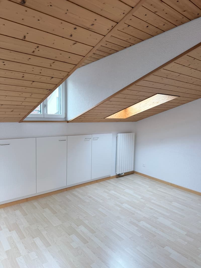 Wohnen über den Dächern vom Breitenrain (9)