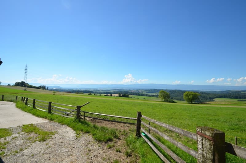 Wohnung mit Charme auf dem Land mit herrlicher Aussicht (12)
