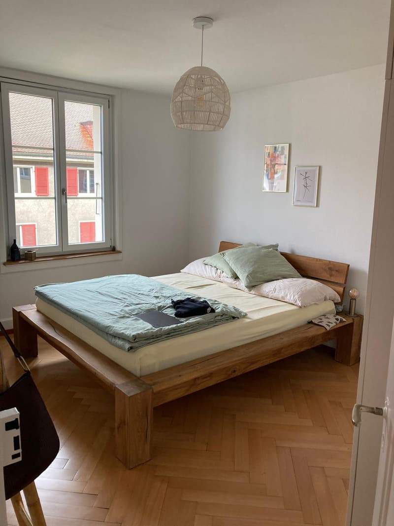 Wohnen im Breitsch - charmante Wohnung an zentraler Lage (5)
