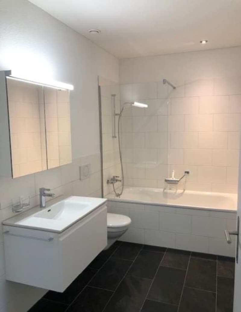 Grosse, loftartige 2.5-Zimmer-Wohnung zu vermieten (4)