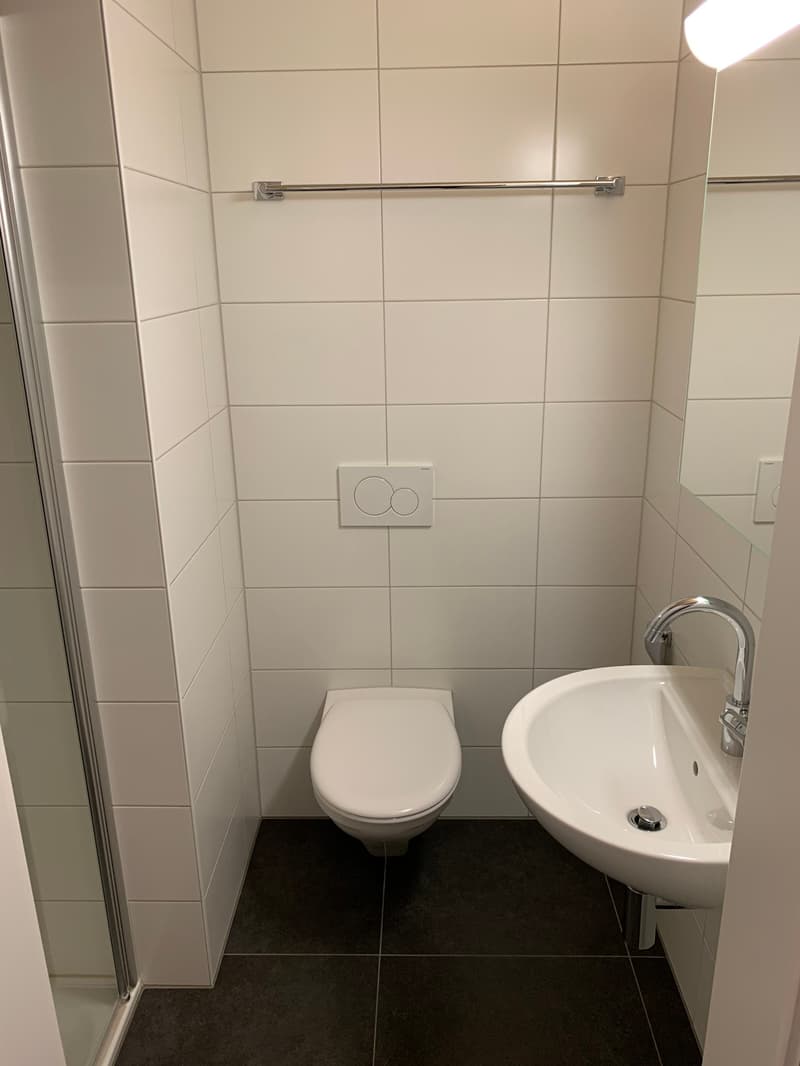 Wohnen mit Weitblick – 4.5-Zimmer-Dachwohnung mit Galerie (12)