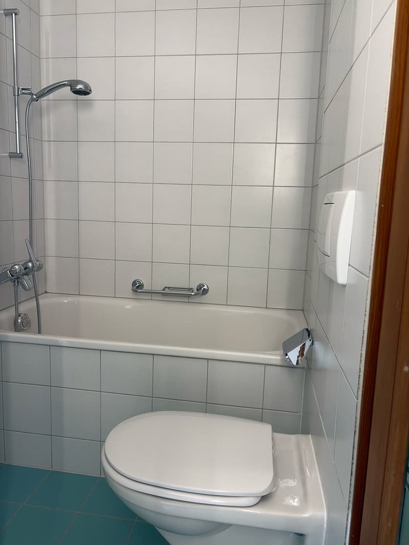 Charmante 2.5-Zimmer-Attikawohnung und Cheminée zu vermieten! (5)