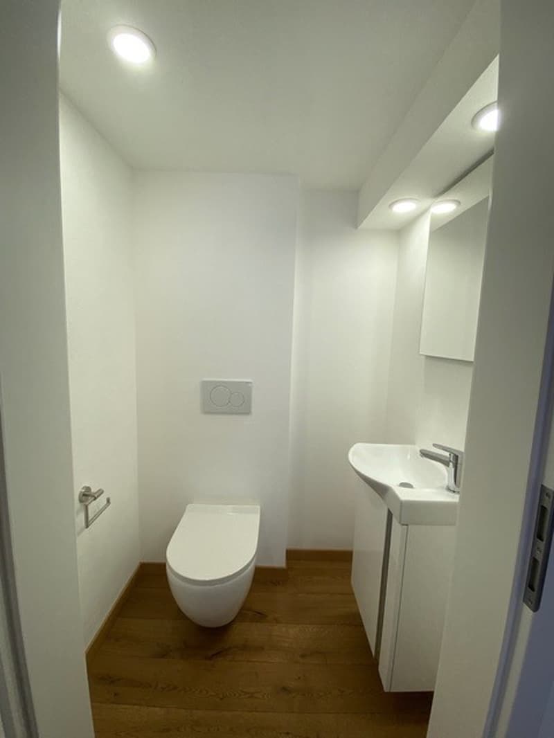 Einzigartiges Wohnen mit Loftcharakter – 4-Zimmer-Wohnung in Galmiz (3)