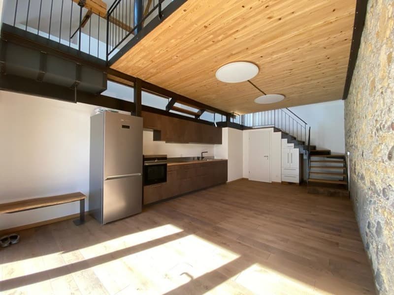 Einzigartiges Wohnen mit Loftcharakter – 4-Zimmer-Wohnung in Galmiz (2)