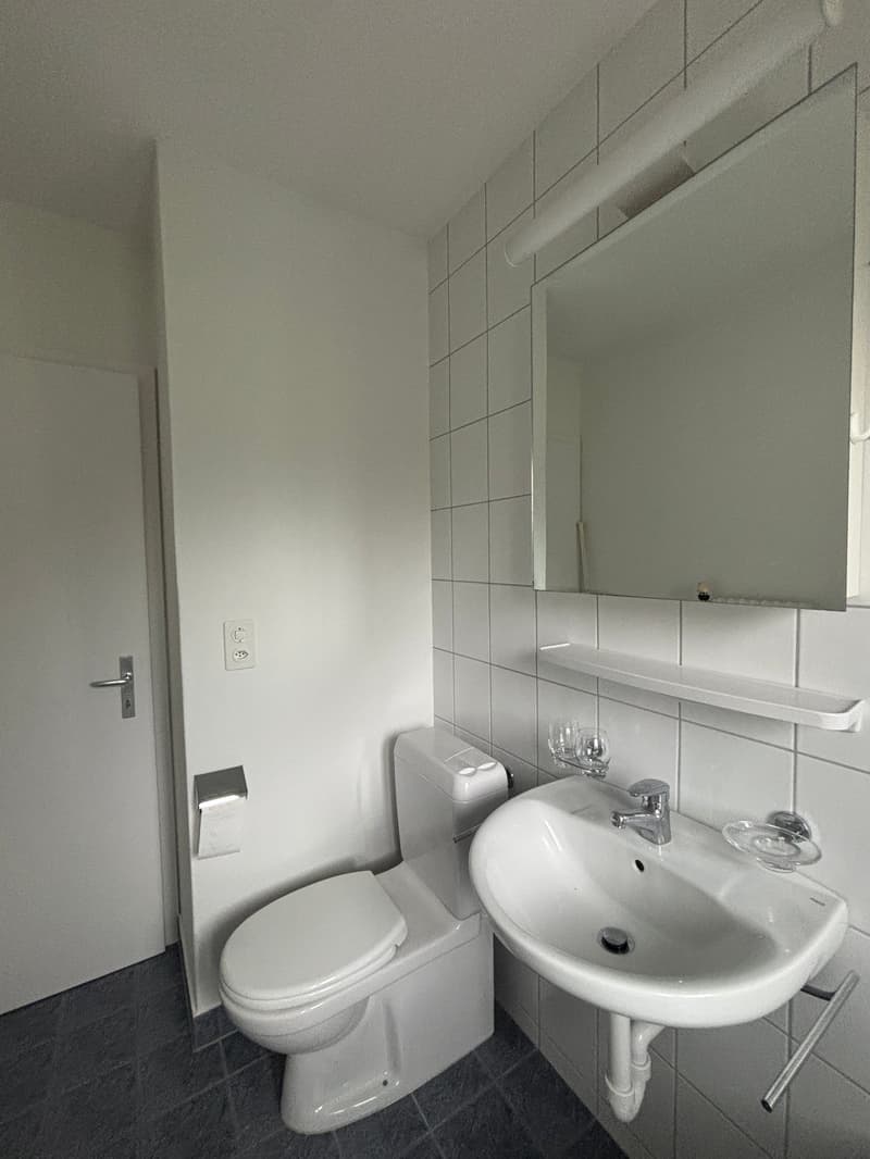 Wohnen mit Aussicht: Helle Wohnung mit Blick auf die Aare und Felsenau (8)