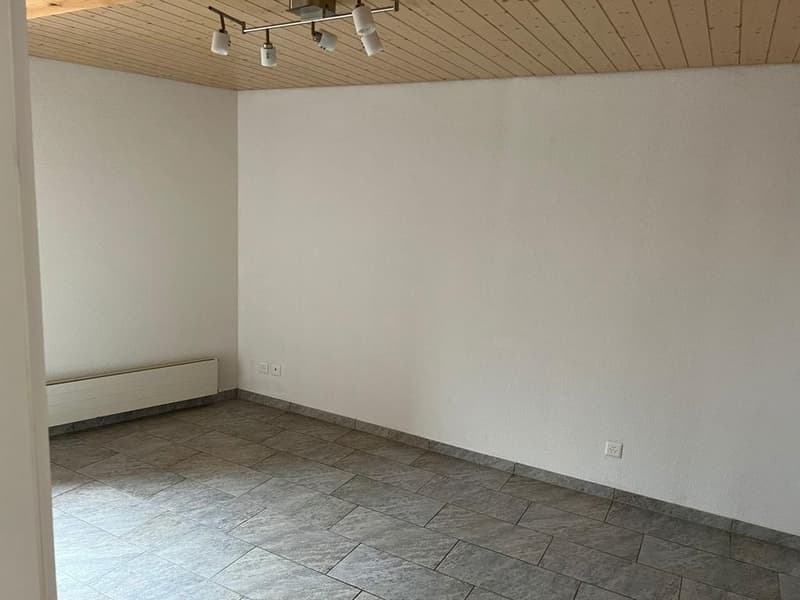Gemütliche 2.5-Zimmer-Wohnung in Gümmenen zu vermieten (3)