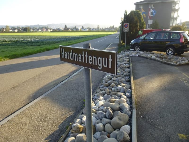 Strengelbach_Hardmattengut_1_-5_1.JPG