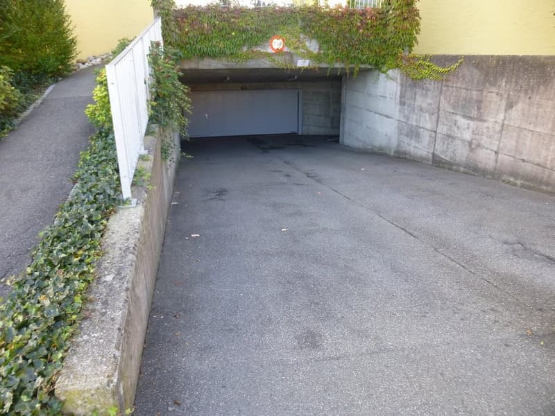 Strengelbach_Hardmattengut_1_-5_2.JPG