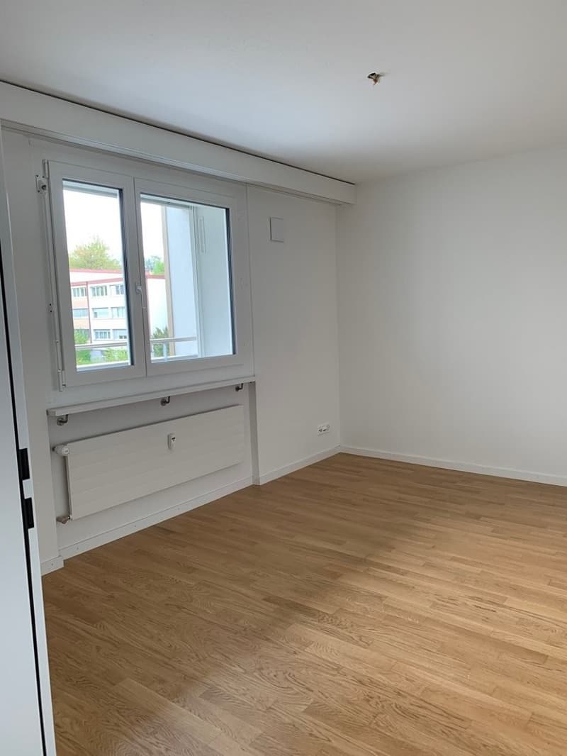 Zimmer1.jpg